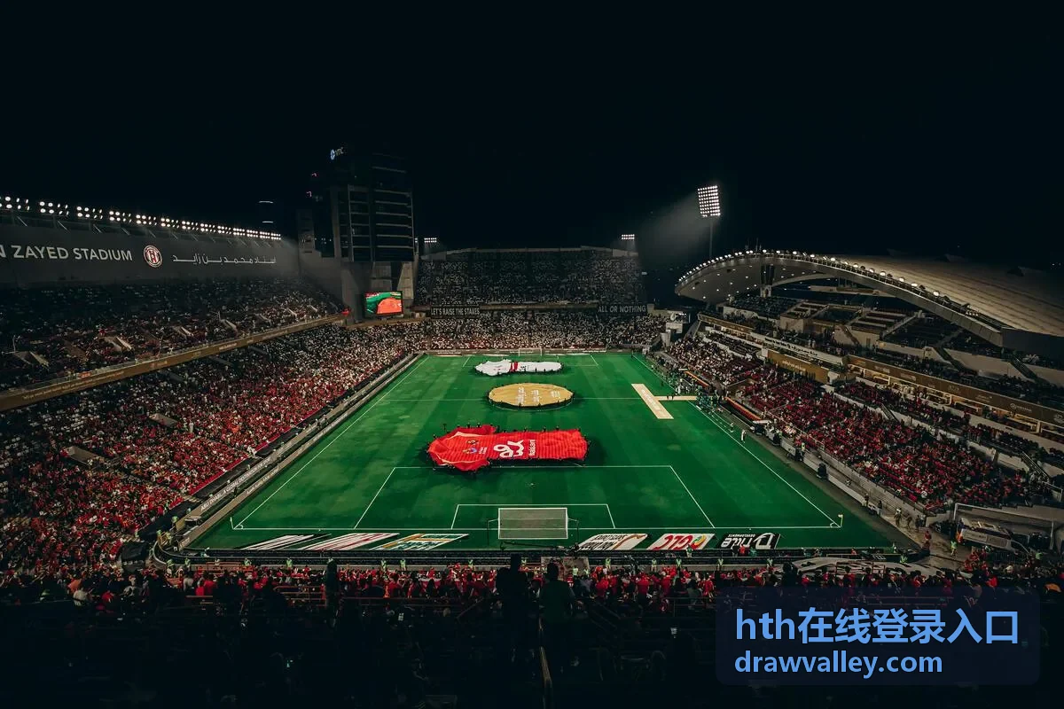 核对 hth在线登录入口 页面提示与操作步骤的场景